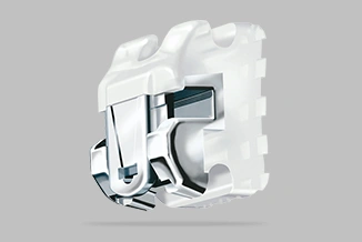 White wall-mounted electrical outlet or switch plate with internal mechanical components visible against gray background.